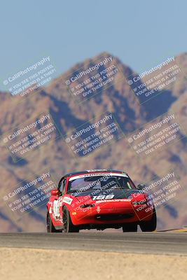 media/Oct-14-2023-Lucky Dog Racing (Sat) [[cef75db616]]/Turn 9 (330pm)/